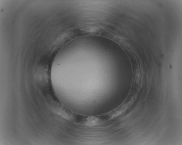 X0000062830612200601131300