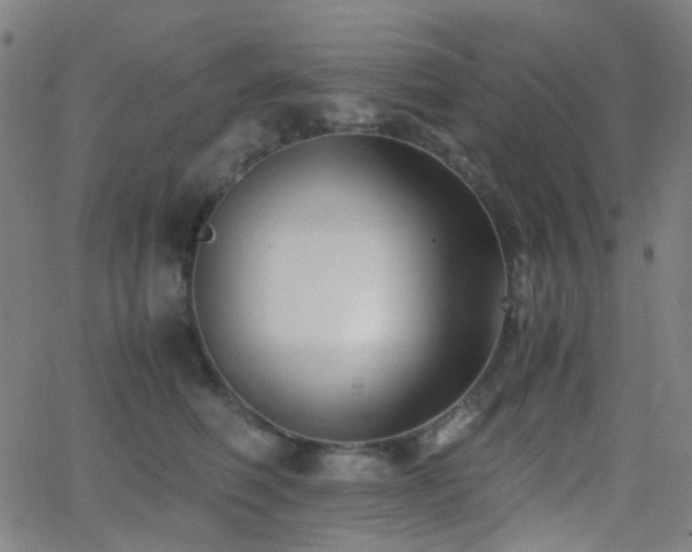 X0000062830614200601131300