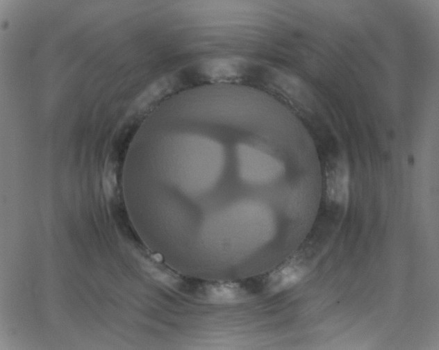 X0000062830618200601131259