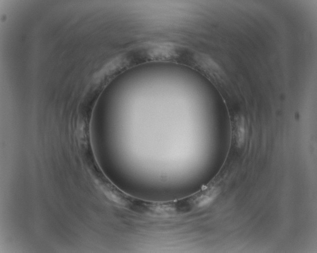 X0000062830619200601131259