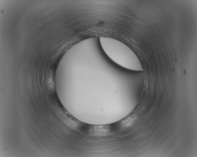 X0000062830622200601131259