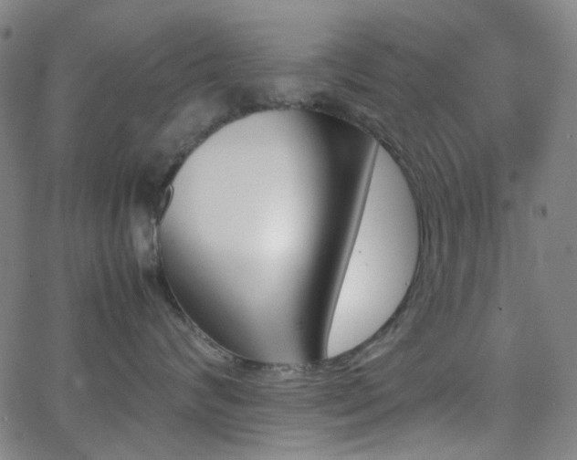 X0000062830624200601131259