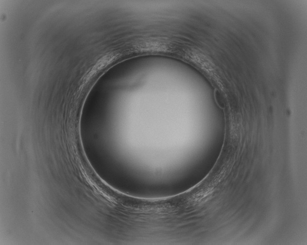 X0000062830625200601131259
