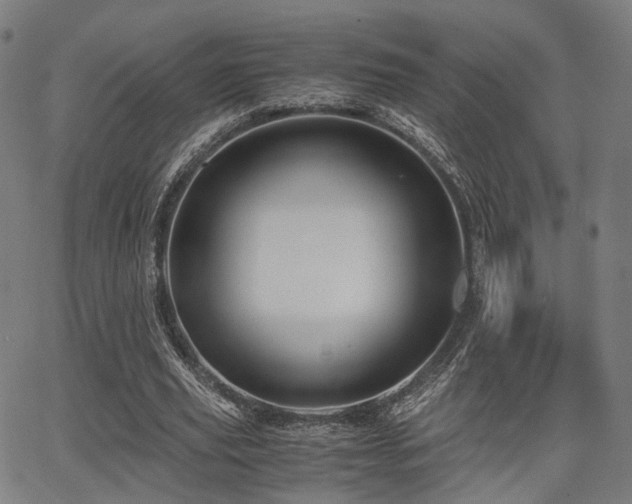 X0000062830629200601131259