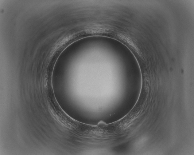 X0000062830631200601131259