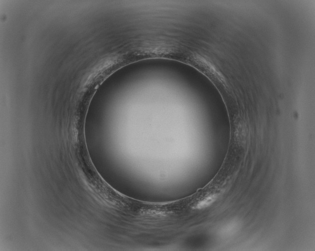 X0000062830635200601131259