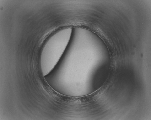 X0000062830640200601131259