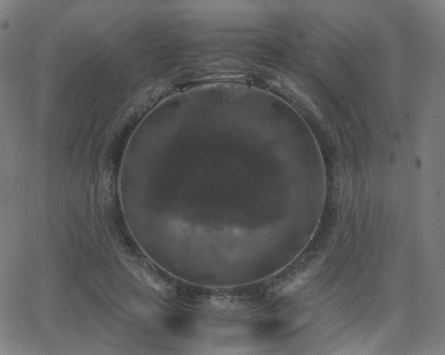 X0000062830641200601131259