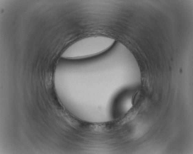 X0000062830660200601131259