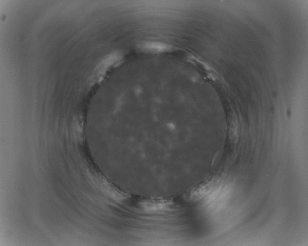 X0000062830661200601131259
