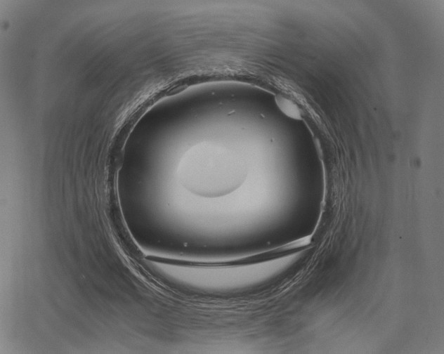X0000062830677200601131258