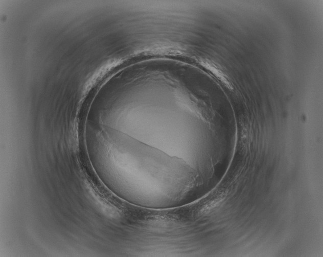 X0000062830678200601131258