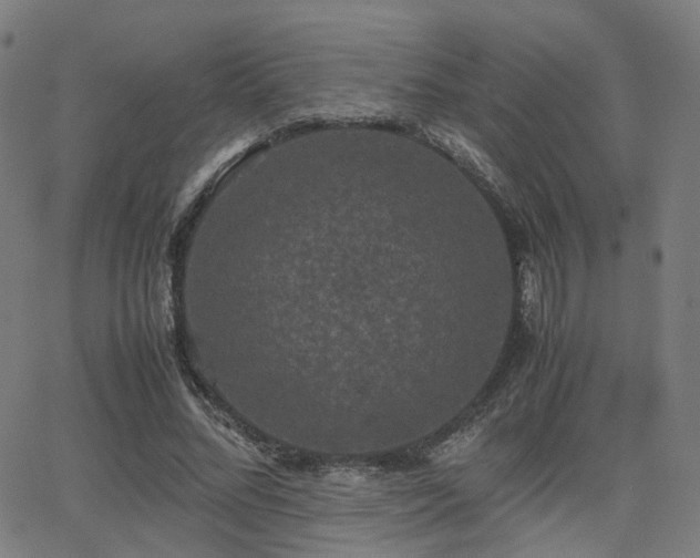 X0000062830684200601131258