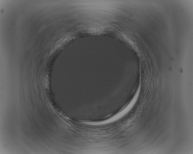 X0000062830689200601131258
