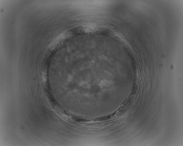 X0000062830691200601131258