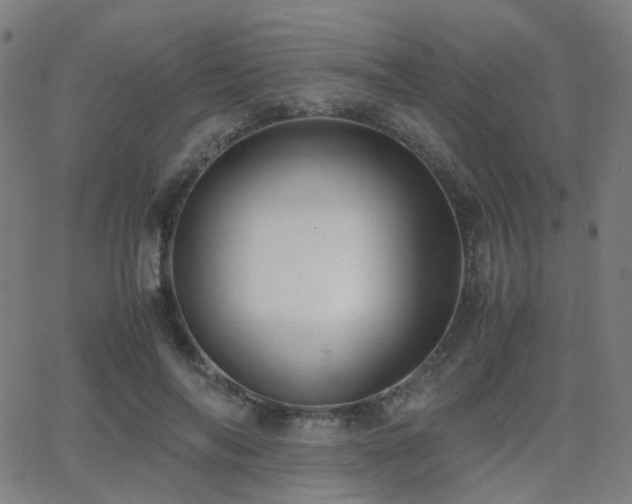 X0000062830694200601131258