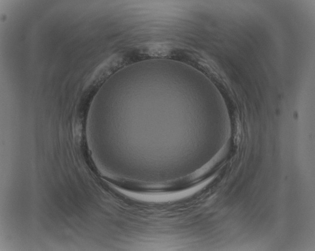 X0000062830697200601131258