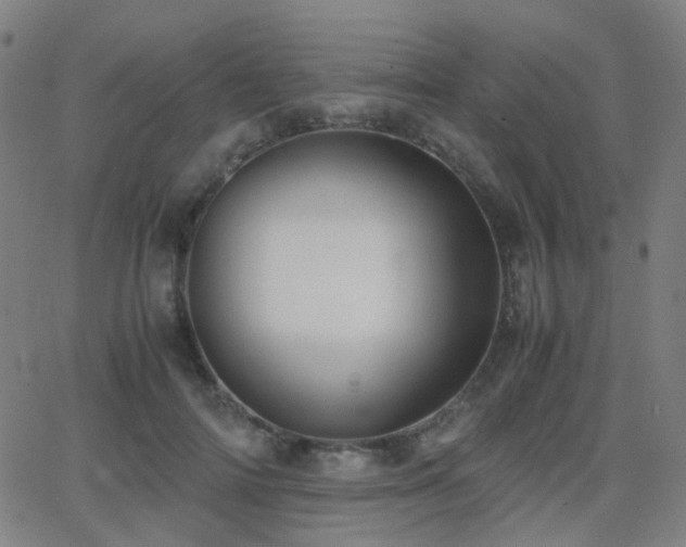 X0000062830698200601131258