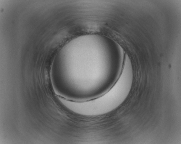 X0000062830704200601131258