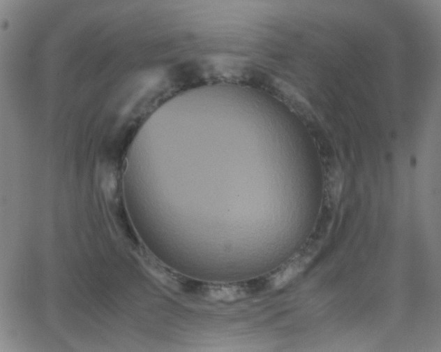 X0000062830709200601131258