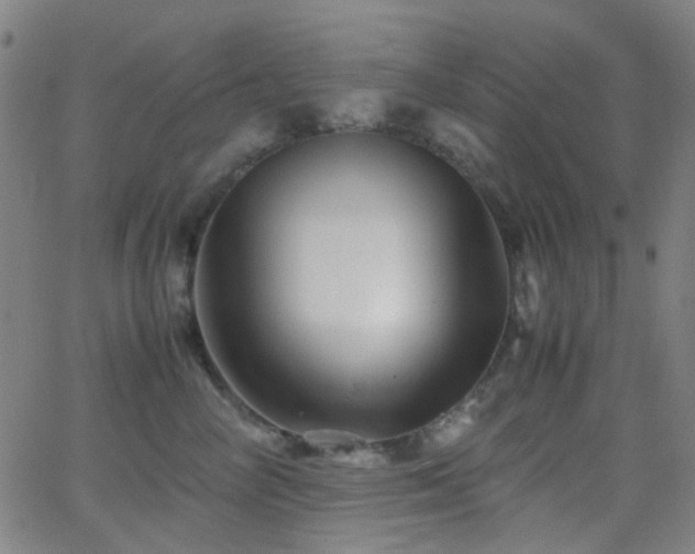 X0000062830714200601131258