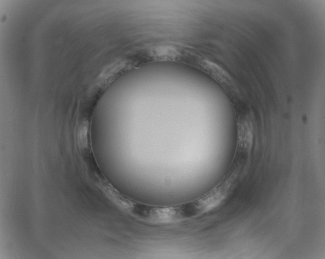 X0000062830717200601131258
