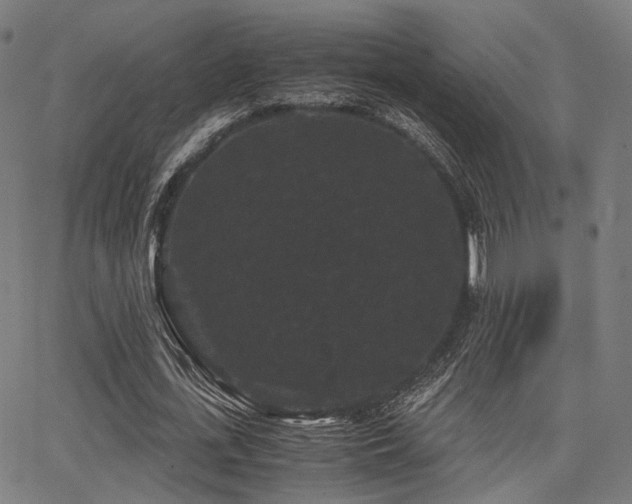 X0000062830723200601131257