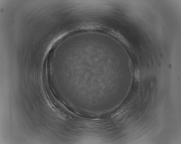 X0000062830724200601131257