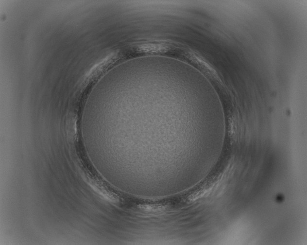X0000062830733200601131257