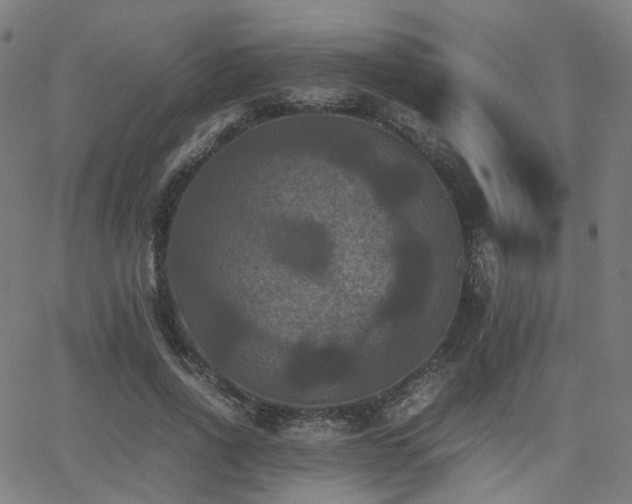 X0000062830734200601131257