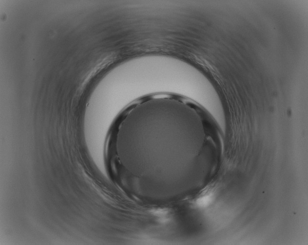 X0000062830735200601131257