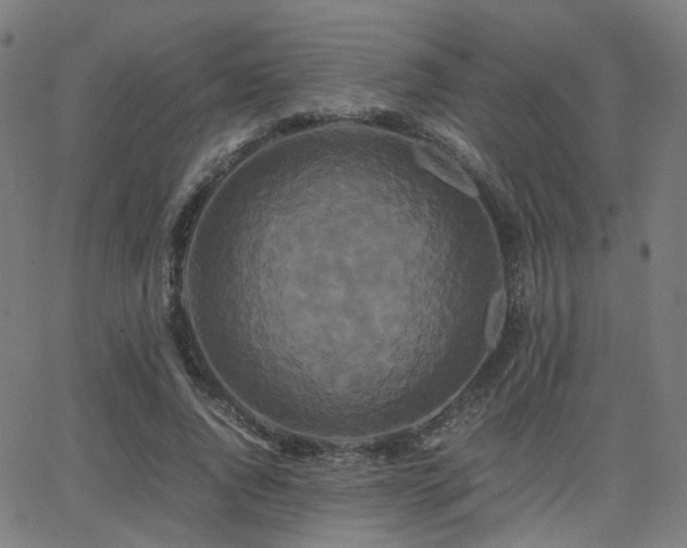 X0000062830736200601131257