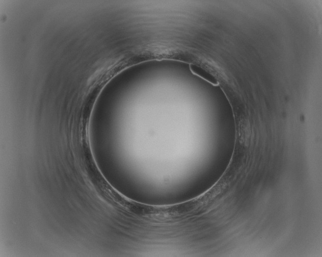 X0000062830740200601131257