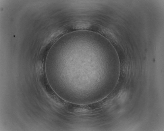 X0000062830743200601131257