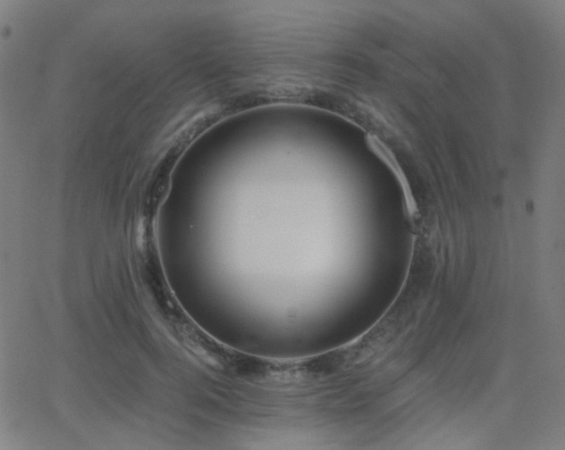 X0000062830744200601131257