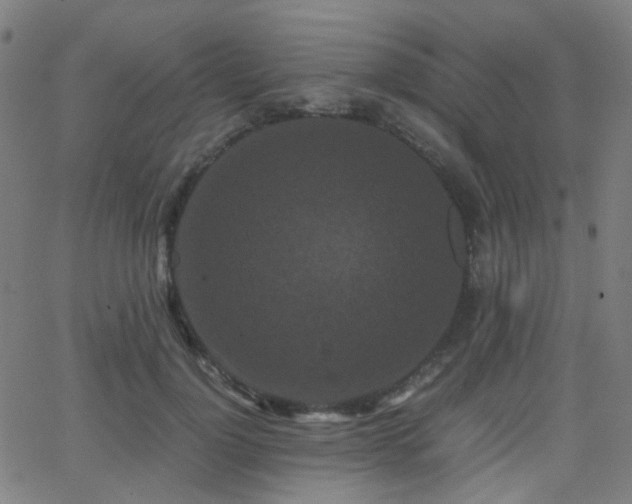 X0000062830748200601131257