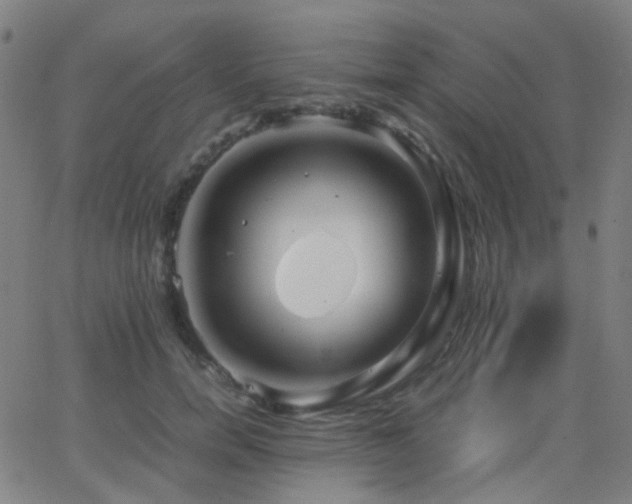 X0000062830750200601131257