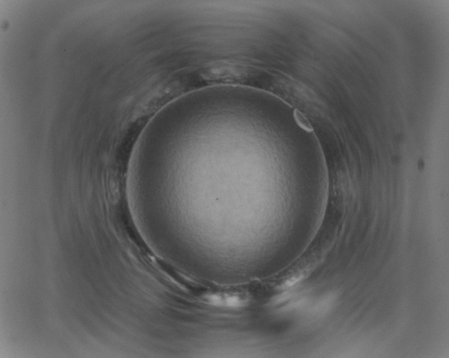 X0000062830751200601131257
