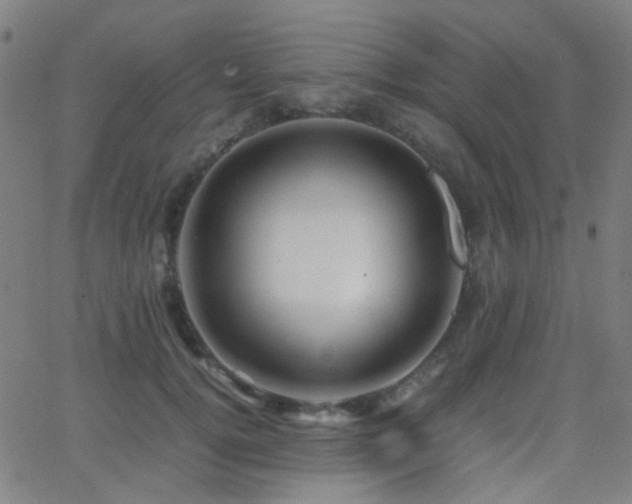 X0000062830752200601131257