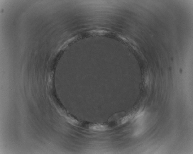 X0000062830759200601131258