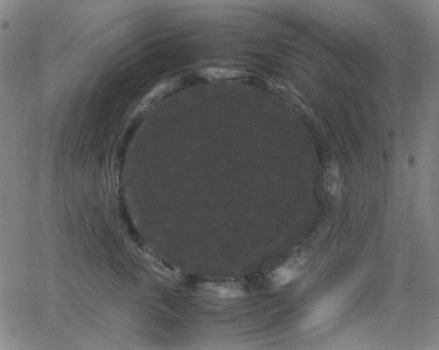 X0000062830763200601131258