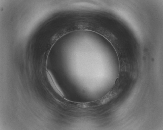 X0000062830764200601131258