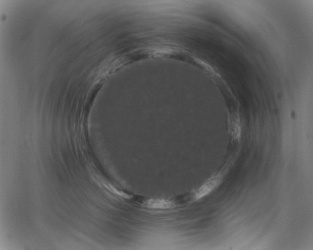 X0000062830766200601131258