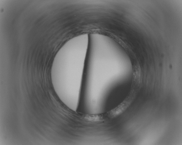 X0000062830767200601131258