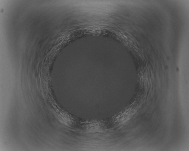 X0000062830769200601131257