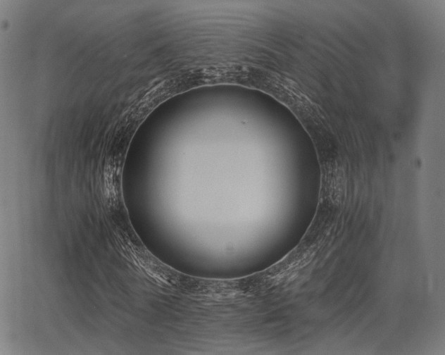 X0000062830770200601131257