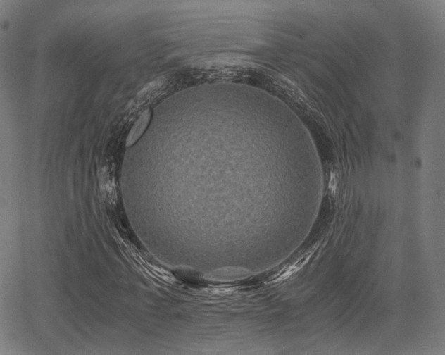 X0000062830771200601131257
