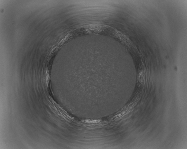 X0000062830772200601131257