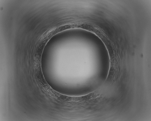 X0000062830773200601131257