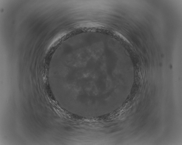 X0000062830775200601131257
